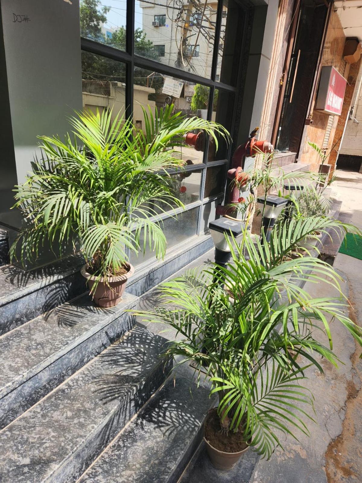 Hotel City Lite Near Igi Airport 뉴델리 외부 사진